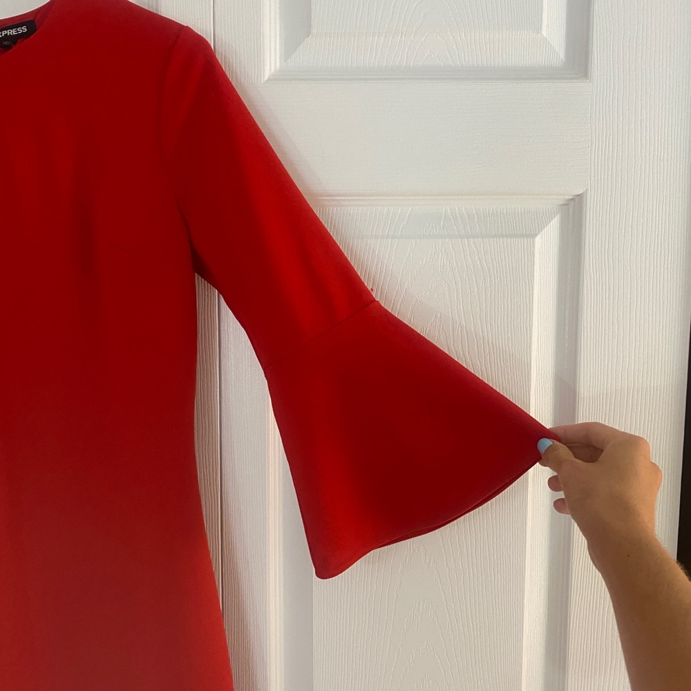 Express Dress - Picture 2 of 3